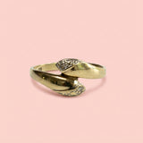 Ring met slangmodel